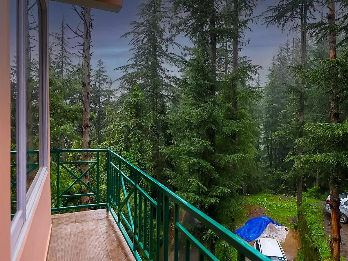 Homestay szállás Divine Hills Mashobra Apartman Simlá